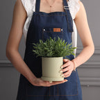 Nordic Ceramic Planter